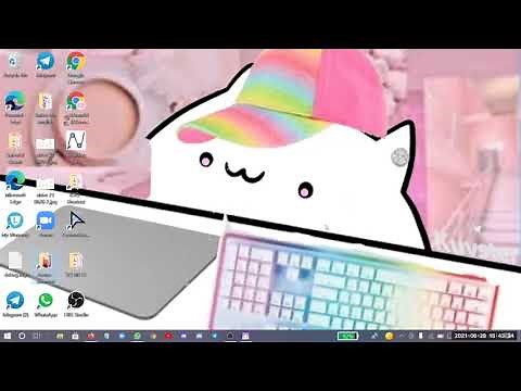 How to use bongo cat as your virtual camera on zoom
