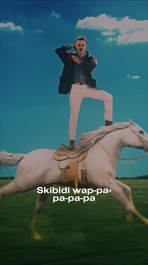 Today is the 5th anniversary of SKIBIDI Romantic Edition! 🥳🥳 Thank you for all the continued support, we ❤️ you.