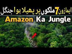 😱 Unbelievable Facts About the Amazon Rainforest