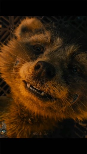 Rocket heart break moment emotional line's 😢💔 Marvel saddest moment. . . . #marvel #rocket #sad #emotional #marvelcomics | K Singh