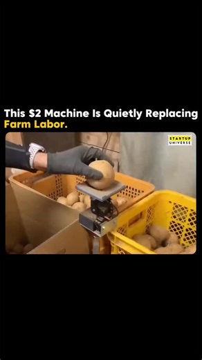 Business । Startup । Entrepreneurship 🚀 on Instagram: "Mr. Shiozawa’s story proves that powerful innovation doesn’t always come from big companies or expensive labs. A local farmer and skilled hardware craftsman, he built a simple, low-cost sorting machine that costs around just $2, yet delivers real value where it matters most—on the farm. Designed to make sorting faster, easier, and more efficient, the device is already being used by local farmers, saving time and effort in daily work. His pr