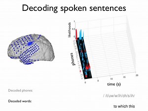 File:Brain-to-text-decoding-spoken-phrases-from-phone-representations-in-the-brain-Video1.ogv - Wikimedia Commons