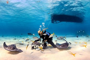 Best Places to Dive in The Caribbean | Blog de viajes de NCL