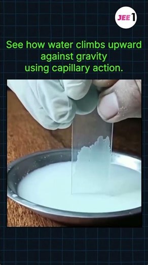 How does water move UP against gravity? Capillary action explains it. #maths