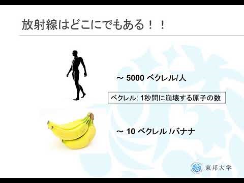 見えない素粒子を見る方法