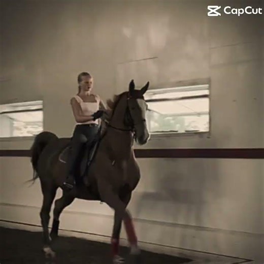 I absolutely am shocked by this duo!! #horse #equestrian #saddlebred #saddleseat