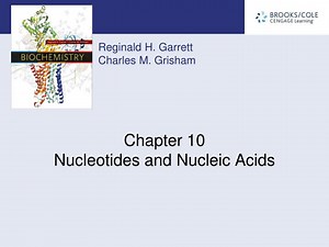 Chapter 10 Nucleotides and Nucleic Acids - SlideServe