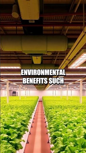 Revolutionizing Agriculture with Vertical Farming