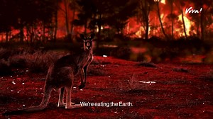 World leaders NEED to recognise the devastating impact of meat, dairy, fish and eggs on our planet this COP28. ❌ 🌍 We are experiencing the world’s sixth mass extinction, with one million species currently living under threat. Eating meat, dairy, fish and eggs is the number one driver of this wildlife wipeout. Switching to a vegan diet could reduce wildlife loss by 50 per cent – yet this vital solution continues to be ignored in the Government’s environmental commitments. We cannot continue to i
