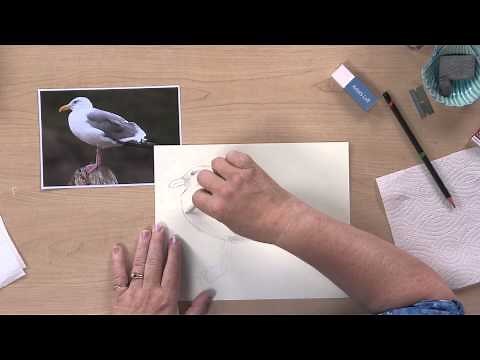 Preview | Drawing Basics: How to See, How to Draw with Claudia Nice