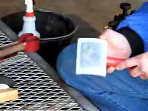 Professional Sheep Fitting