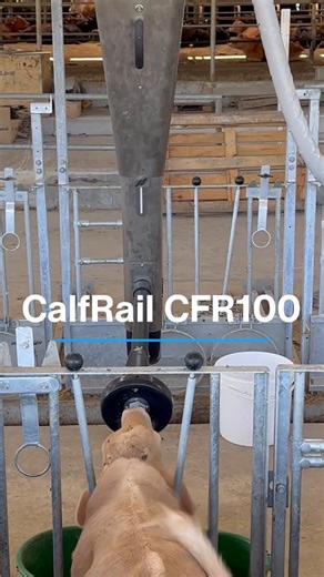 #SabíasQue el CalfRail CFR100 es un brazo robótico que se desplaza sobre un raíl para alimentar automáticamente a las terneras en alojamientos individuales? 🤔 👉 Es una solución que complementa a la nodriza automática de terneras. ¿Quieres conocer más detalles? Visita: https://www.delaval.com/es/nuestros-productos/alimentacion/alimentacion-para-terneras/ #DeLaval #granjas #terneras #alimentación #ganaderos | DeLaval