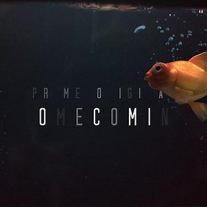 Julia Roberts stars as Heidi Bergman in her first TV series Homecoming | Amazon Prime Video