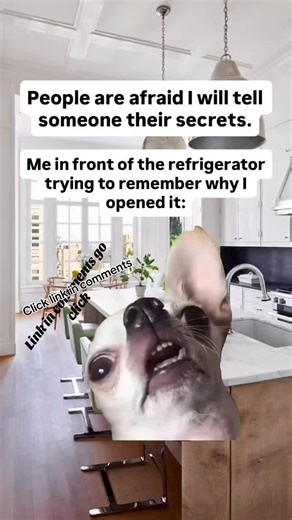 Funny Refrigerator Moments You Can't Miss