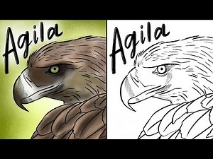 Philippine National Symbols Coloring Pages