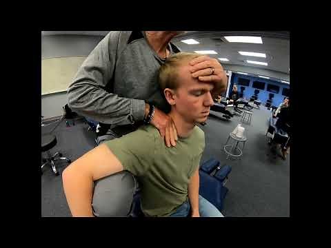 Sagittal Plane Extension/Flexion Assessment and Manipulation