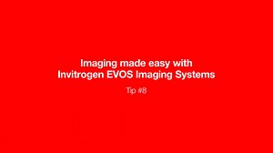 Imaging made easy - EVOS Tip #8 - Scientific Videos | Thermo Fisher Scientific US
