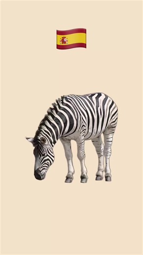 Mastering Spanish Vocabulary: Essential Lessons for All