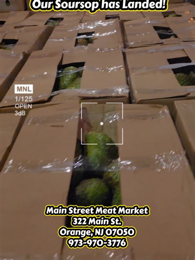 9/11/26 Our Soursop delivery has arrived! Fresh Soursop Retail & Wholesale WE ARE HAVING A HUGE SALE!!! Message us to determine wholesale pricing. Retail: $ 9.99 per lb Wholesale: 40 lb in a box. Visit us at: Main Street Meat Market 322 Main St. Orange, NJ 07050 973-970-3776 #fyp #soursop #africanfood #Caribbean #jamaica