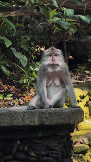 matildaaasday (@matildaaasday)’s videos with original sound - matildaaasday