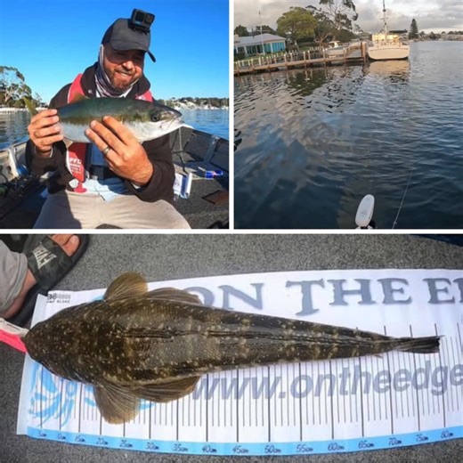 Have you ever gone fishing for bream but end up catching kingfish? That’s exactly what happened to Jordan while fishing in Gippsland. Setting out for a feed of bream, he was using natural looking 2 inch prawn soft plastics to lure them in. Instead, the kingies took a liking to it! He tried heavier gear once he knew they were around, but they were fussy and only biting on the lighter gear. They certainly make your reel scream! He’s also been catching plenty of monster flathead, like this one meas
