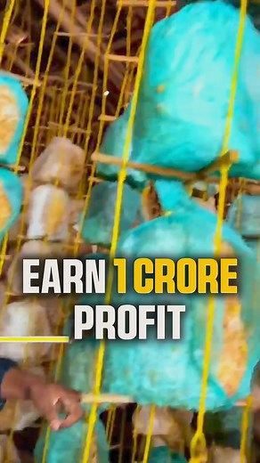 10M views · 171K reactions | You can earn Rs 1 crore if you have a...