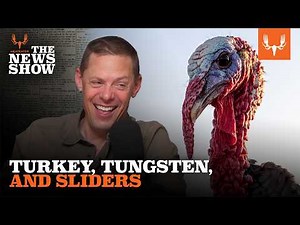 Turkeys Break the Internet and Black Bear Politics Flare | The News Show Ep. 853