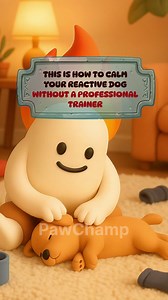 1.6M views · 1.1K reactions |  Unlock Your Dog’s Natural Calm with...