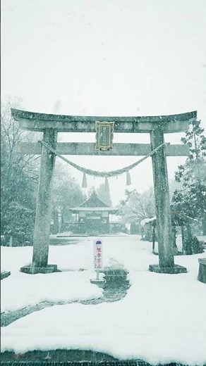 【Japan】これが日本の雪景色です