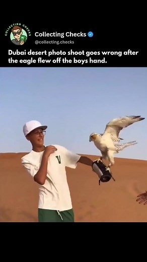 Bro went off script. 🤣 Tag someone! ⬇️ Credit: cir (IG). #business #mindset #investing #motivation #money #success #inspiration #viral #entrepreneur #trending #foryourpage #explorepage #desertsafari #dubaiadventure #eagle #eagleencounter #wildlife #wildlifemoment #birdsofprey #eaglefight #dubaiculture #unexpectednature #naturephotography