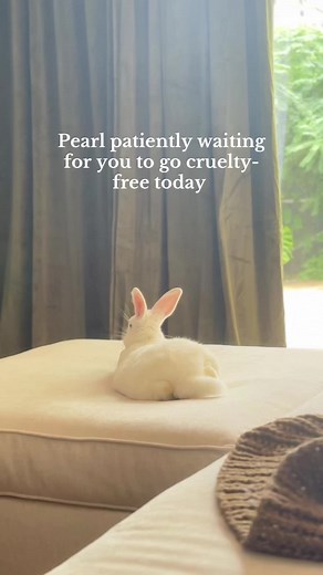 Leaping Bunny: Your Guide to Cruelty-Free Living