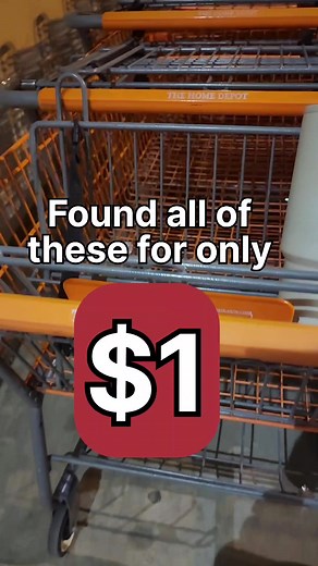 Brodie | Extreme Couponer on TikTok