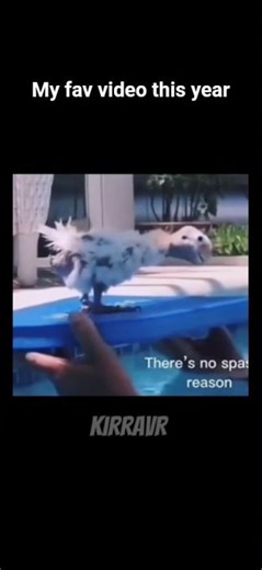 best video this year