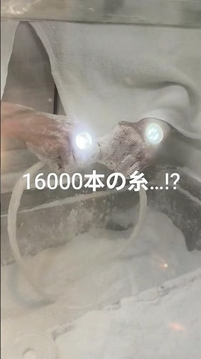 【衝撃】16000本の糸で作る龍のひげお菓子｜横浜中華街の職人技 #横浜中華街#職人技#伝統菓子