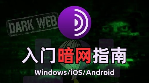 【黑暗网络】最详细进入暗网方法大全，互联网中的罪恶都市，什么是暗网？暗网有多恐怖？Tor网络和黑暗网站的区别|dark web windows/mac/linux/ios/android进入洋葱网络 | PreserveTube