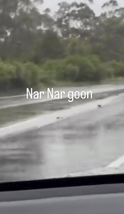 Nar Nar Goon 😧 One pot hole, 28 damaged vehicles. Video: Jacqui Felgate | Casey Crime Page Public