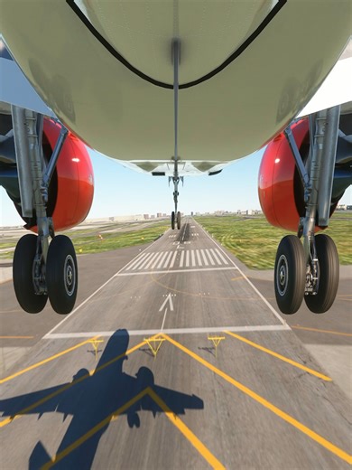 Emergency Landing: A Deep Dive into Airplane Incidents