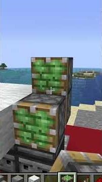 Minecraft 3x3 Door That Actually Works!