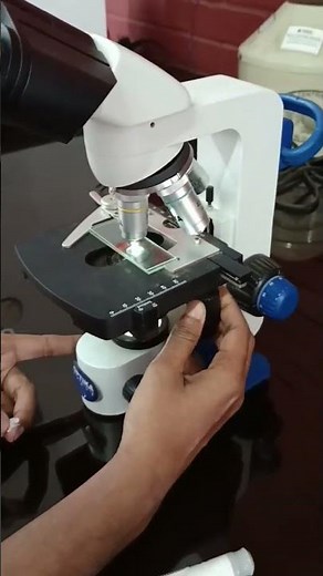 🔬 Red Blood Cells (RBC) Under Microscope | Human Blood Cells Microscopic View