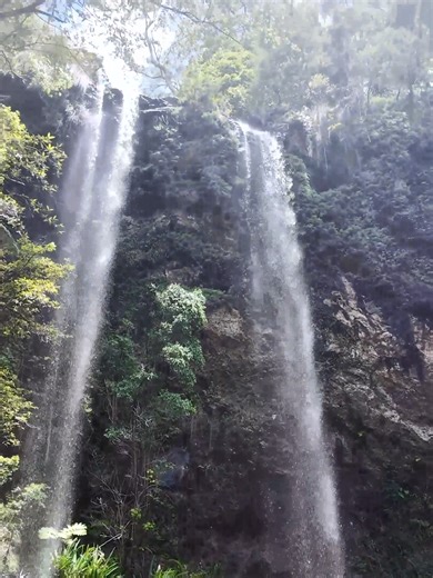 Twin Falls - Springbrook National Park Come 4 A Suss! Comment, Like & Subscribe/ Follow. Suss out: www.youtube.com/@Come4ASuss www.instagram.com/come4asuss Shout-out: #Didgeridoo: Josh Jones Rew Music: Be Read - burrabillee/ we dance https://soundcloud.com/beread #Australia #QLD #Waterfall #Hike #Indigenous #Adventure #Explore