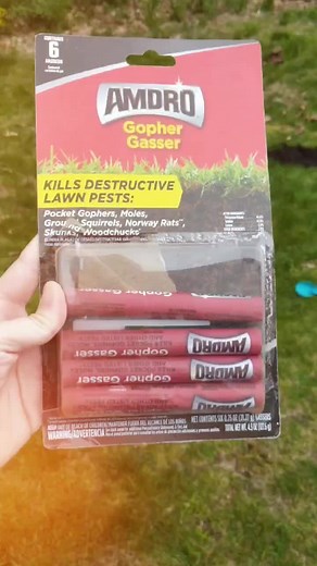 DIY Groundhog Pest Control: Eliminate Pests and Fill Backyard Holes