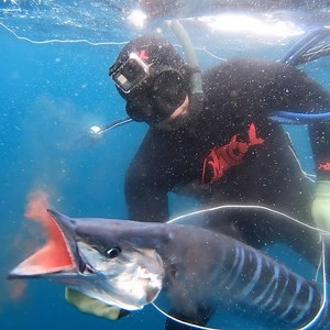 Spearfishing for Wahoo in Ecuador!!! | Ryan Myers Spearfishing