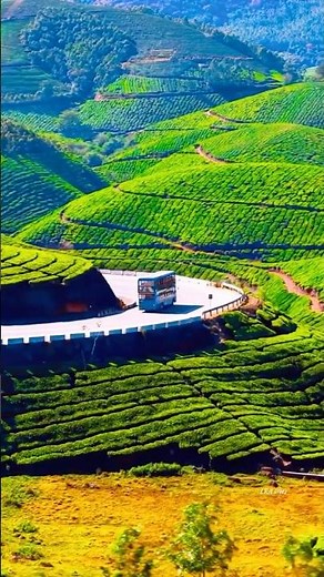 Munnar:The best place to visit