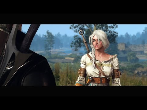 The Witcher 3 | Mods | LION CUB COMBAT COMPANION