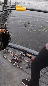 73K views · 2.3K reactions | Raw and *mostly* unfiltered cast to catch on the biggest bass of the tourney! Fishing a spinning rod around this much grass is always a little nerve-wracking… but, I have so much confidence in this @fenwickfishing 71MHF world class rod to get these monsters out! Also love the support I got back at the ramp 凉 Would you guys fish a spinning rod in this situation? #bigbass #bassfishing #girlswhofish | Kristine Fischer | Facebook