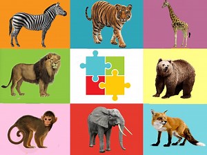 The Forest Animals Puzzle