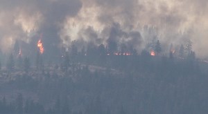 Doyle, CA residents react to evacuation warnings due to Beckwourth Complex Fire