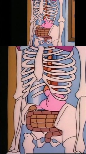 No Guts, No Digestion | The Magic School Bus #shorts #youtubeshorts