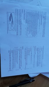 How could the validity of this investigation be increased?Iden... | Filo