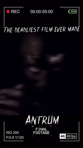 FinalFootage on Instagram: "Antrum: The Deadliest Film Ever Made (2018) • A young boy and girl enter the forest to dig a hole to Hell. Said to be a cursed film from the late 1970s, “Antrum” examines the horrifying power of storytelling #foundfootage #horror #scary #cursed #cursedvideo"